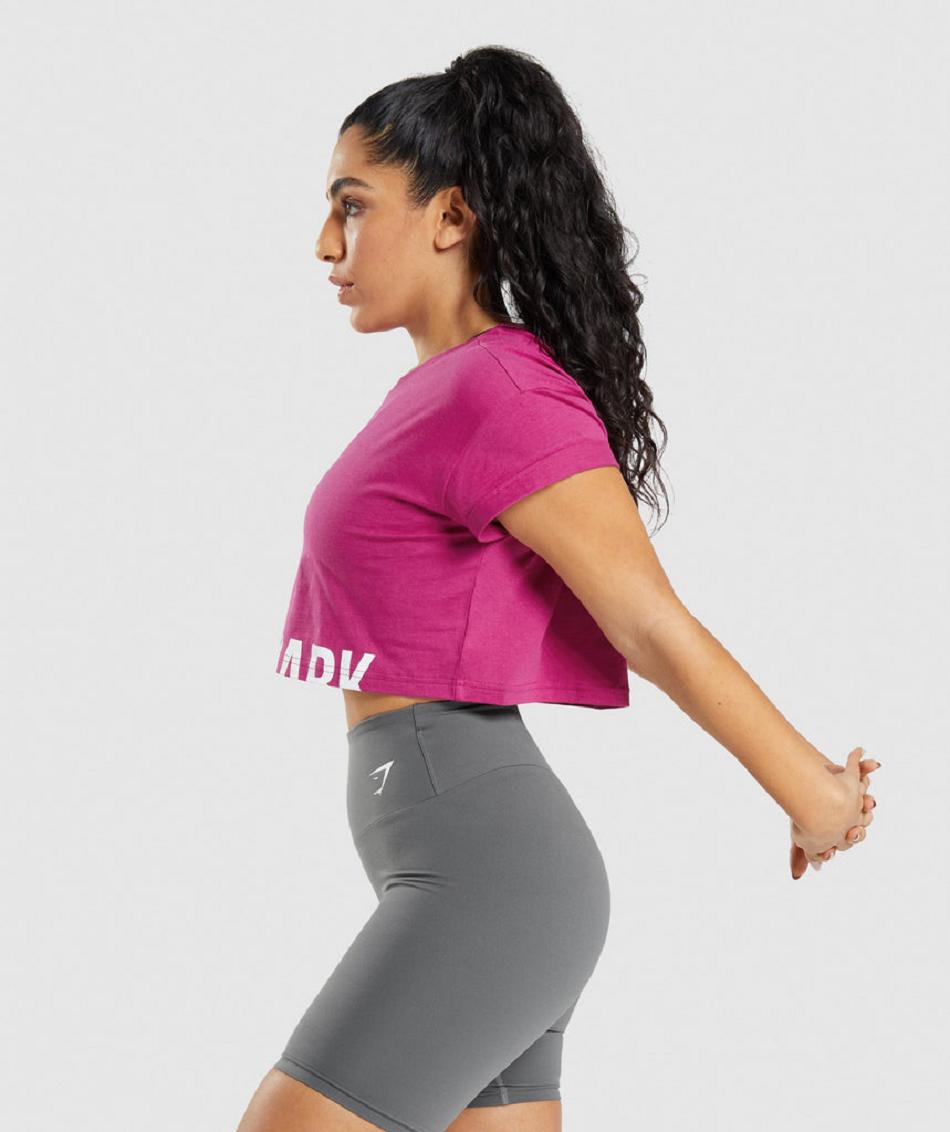 Corp Tops Gymshark Fraction Mujer Rosas | CO 2454NWY